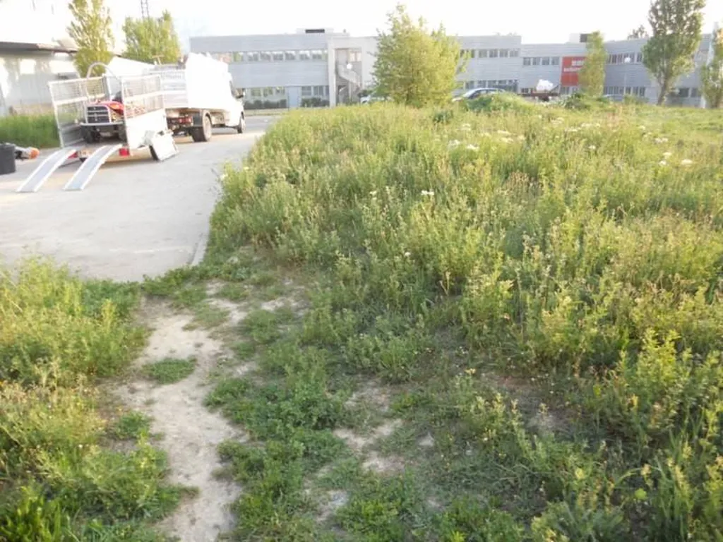 Débroussaillage (ou débroussaillement) grande surface par notre équipe de paysagistes professionnels