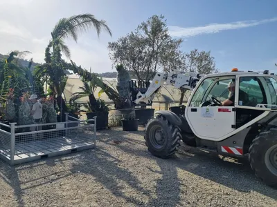 Déchargement des végétaux à Nice