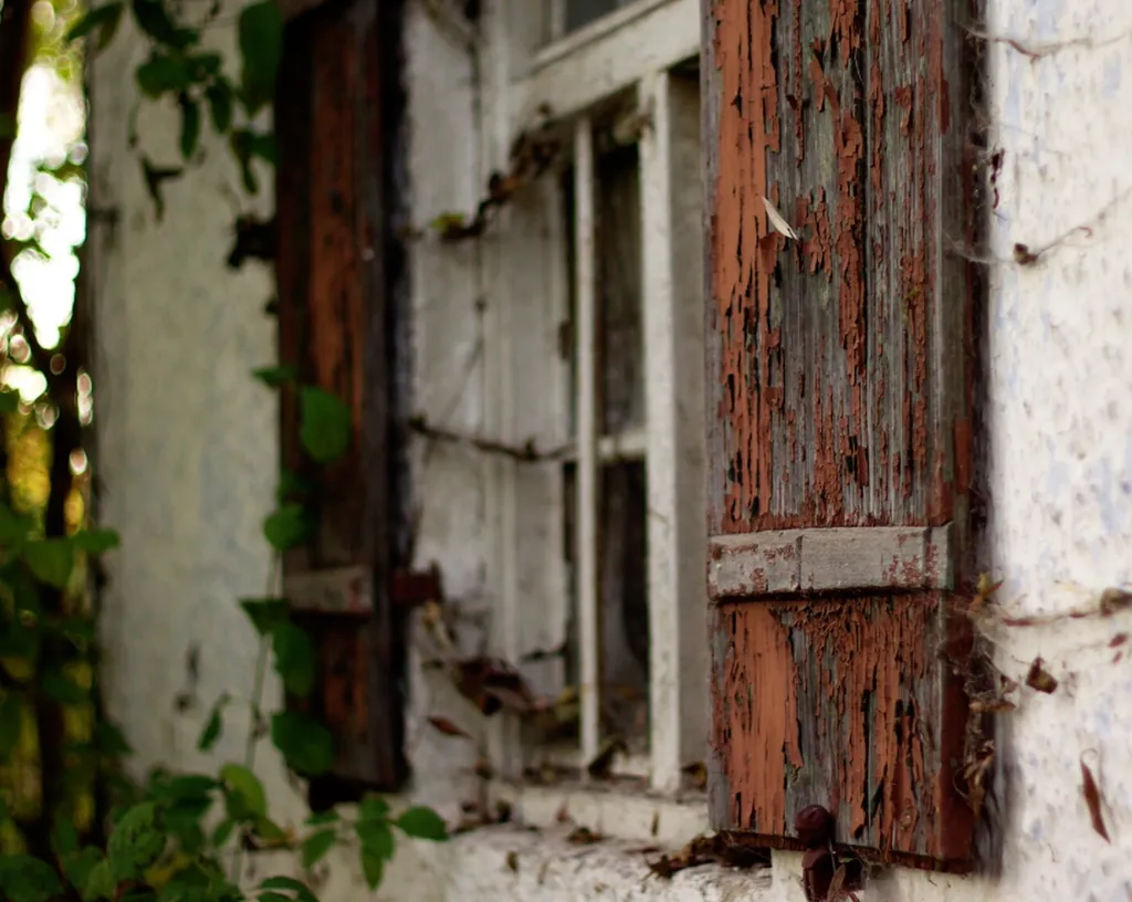 Éliminer efficacement et durablement les cafards et blattes dans un appartement ancien à Toulouse