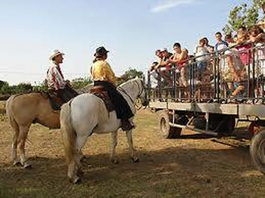 manade Sauvan à 5 minutes de la plage proche camping 