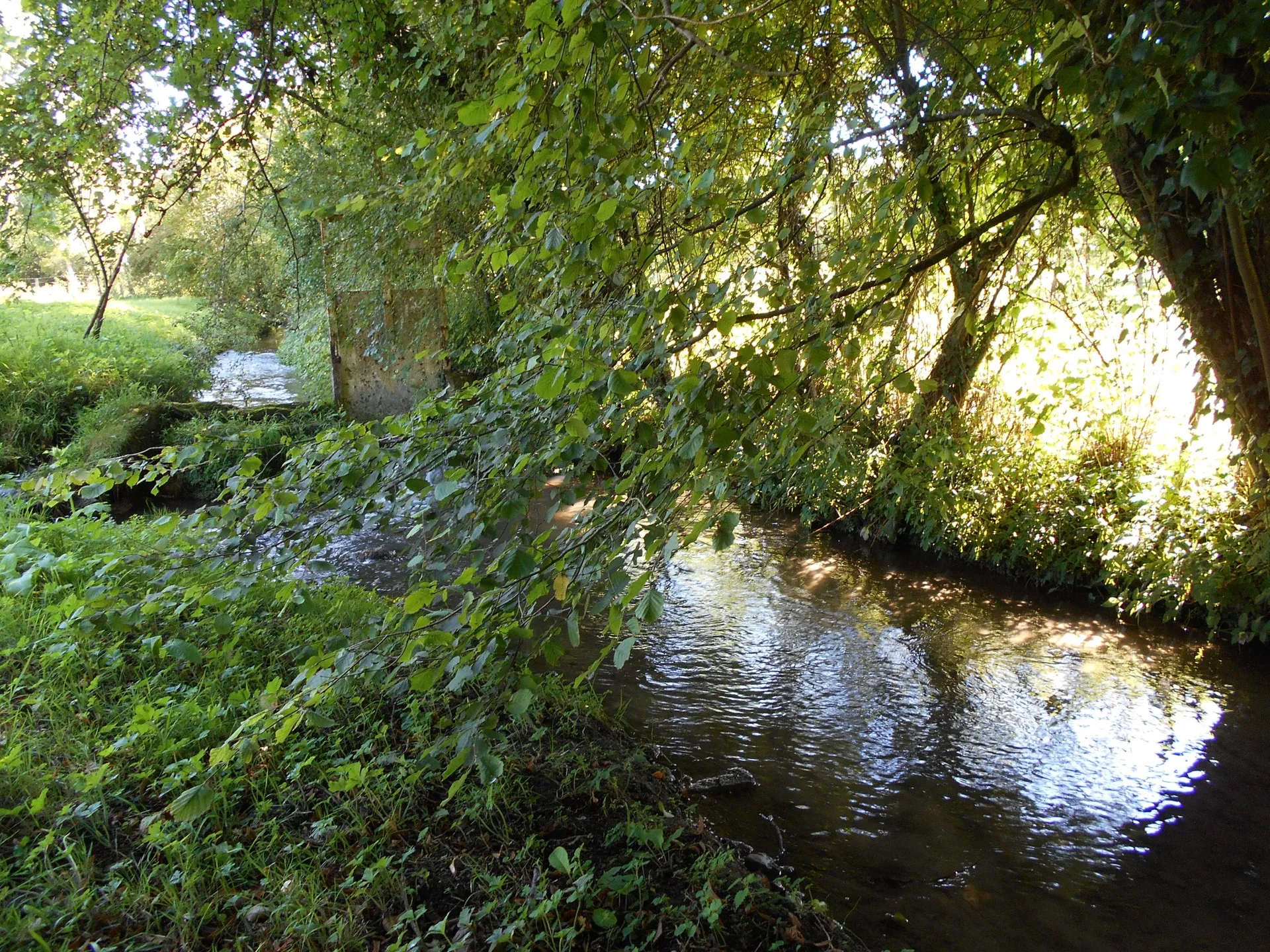 MANOIRS A VENDRE EN NORMANDIE  AVEC RIVIERE OU RUISSEAU