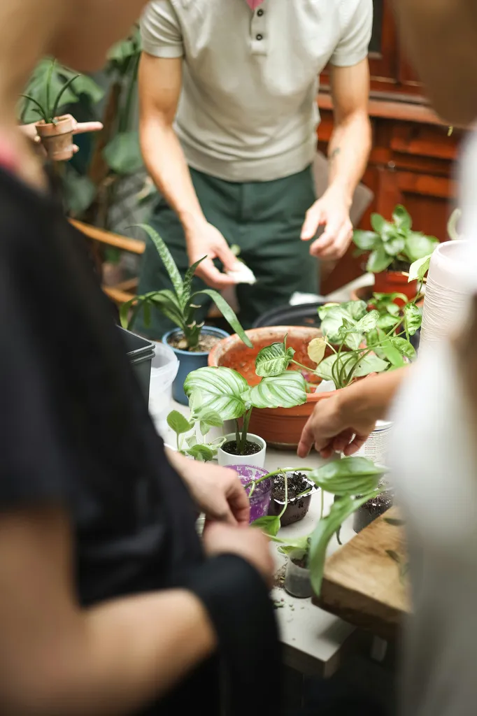 atelier-jardinage-eguilles