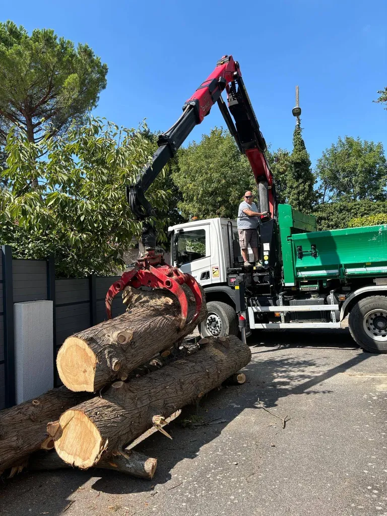 Démontage d'un cyprès par les experts de Carré Vert à Aix-en-Provence, 13090, garantissant un travail précis et sécurisé pour préserver vos espaces extérieurs