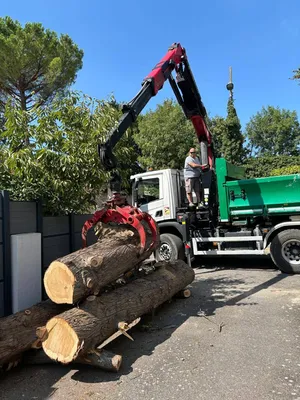 Démontage d'un cyprès par les experts de Carré Vert à Aix-en-Provence, 13090, garantissant un travail précis et sécurisé pour préserver vos espaces extérieurs