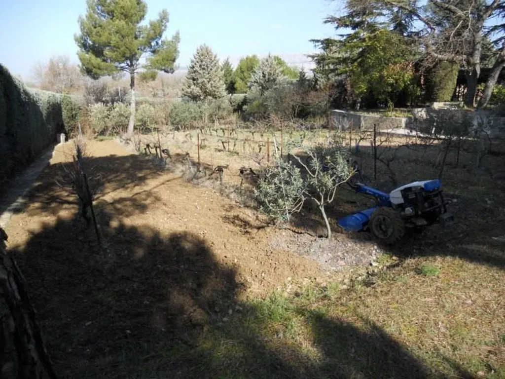 Motobinage d'une parcelle de vigne par paysagiste Aix en Provence Rouvier Romain.