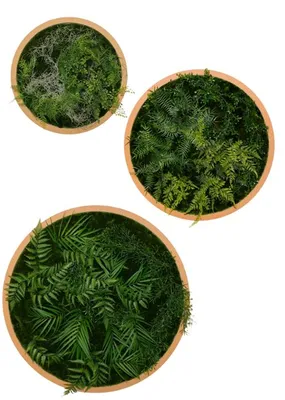 Tableau végétal circulaire artificiel design haut de gamme pour vos espaces professionnels en région PACA