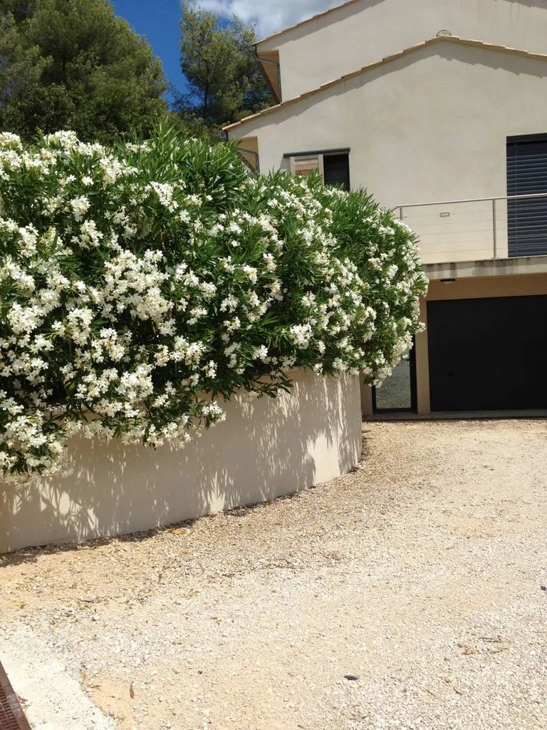 Conception des bordures et végétalisation pour aménagement paysager des extérieurs d'une maison à Cabriès Calas