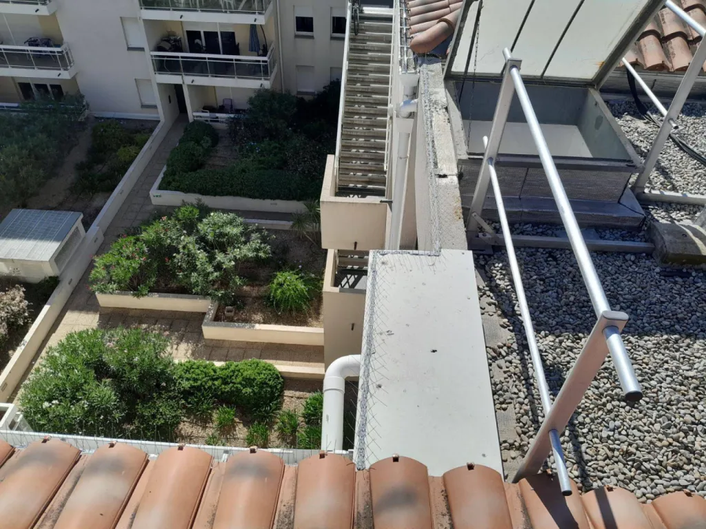 système anti-pigeons Aubagne