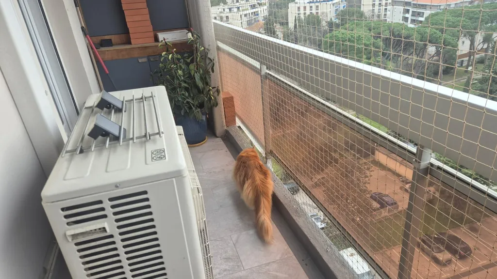 filet anti chute pour chat istres