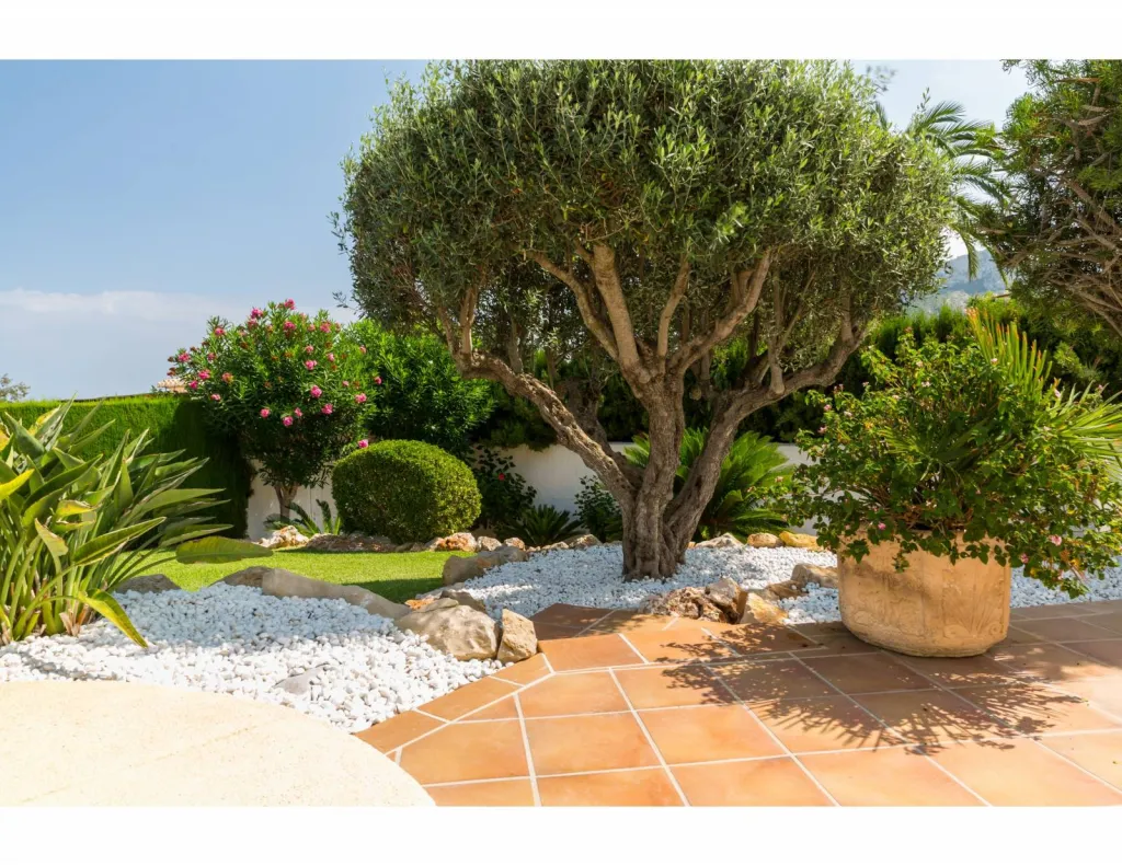 Création d'un jardin méditerranéen dans le Lubéron, par une entreprise de travaux paysagers vers Gordes (84)