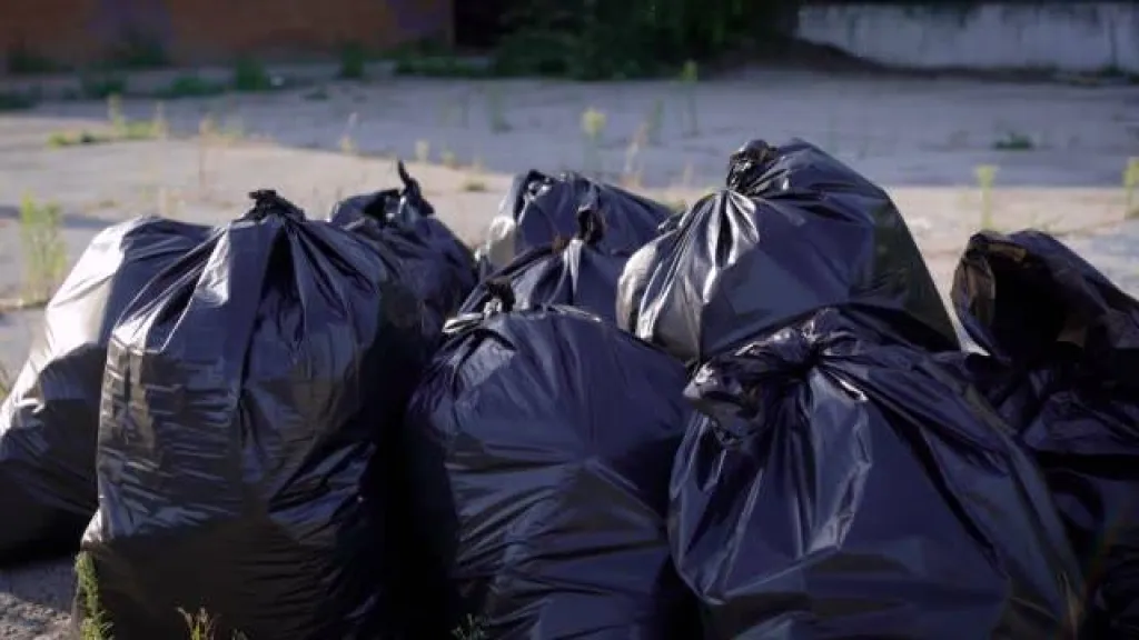 Sacs poubelles de différentes tailles dans la rue