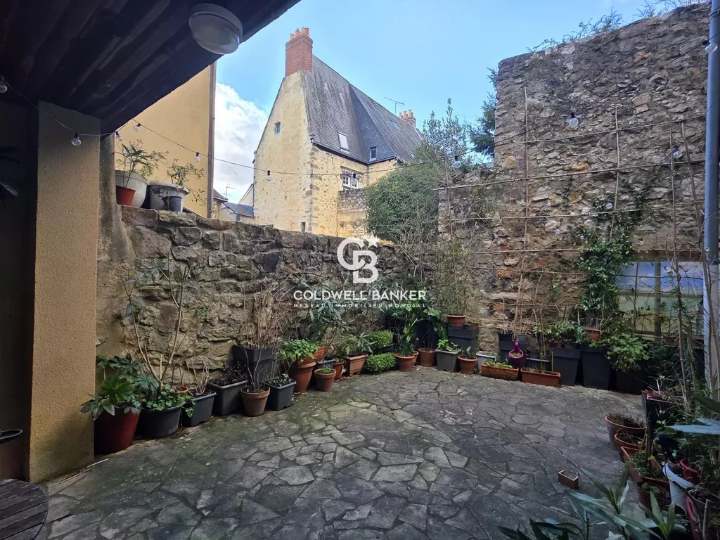 acheter immeuble avec caves et garage pour projet locatif Le Mans
