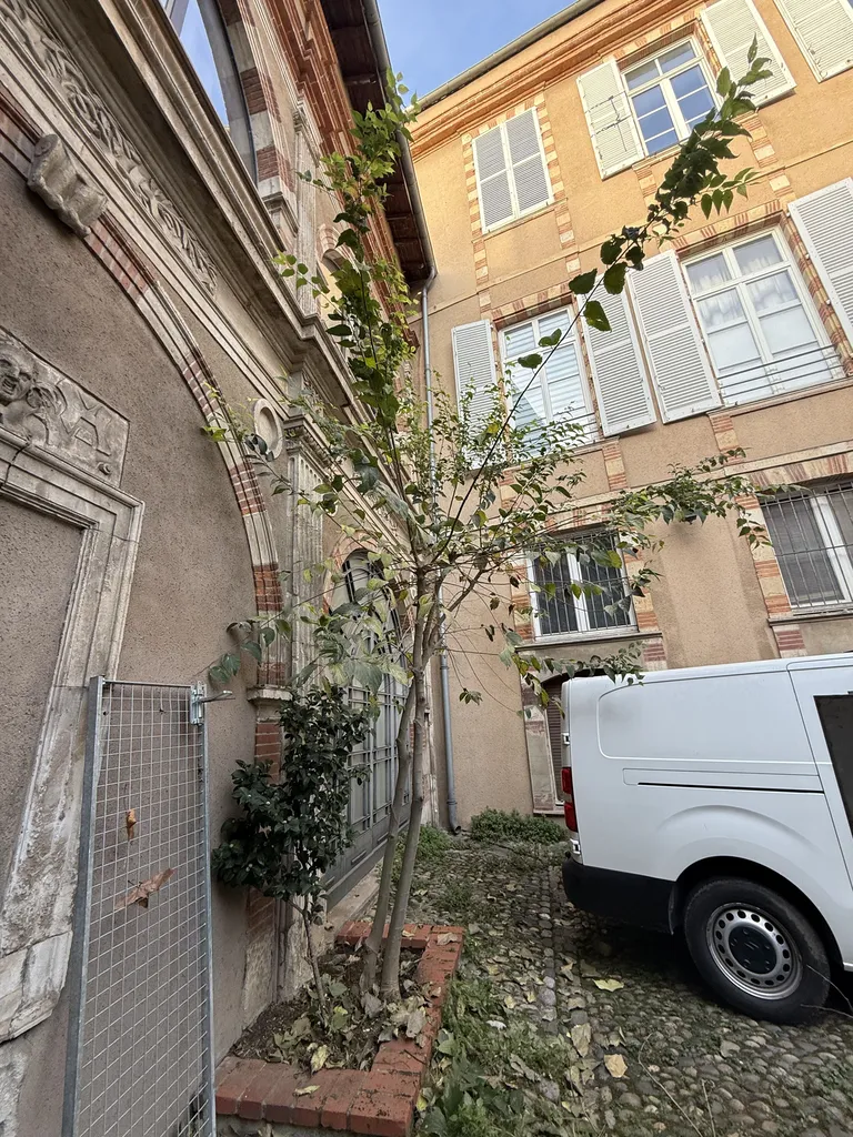 Entretien d’espaces verts en copropriété à Toulouse hyper centre proche de Balma taille de cyprès