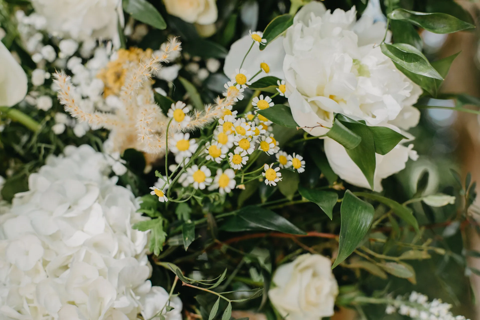 Où dénicher de belles fleurs pour son mariage en hors saisons ? - My sweet madeleine - Les Mariages de Mademoiselle L
