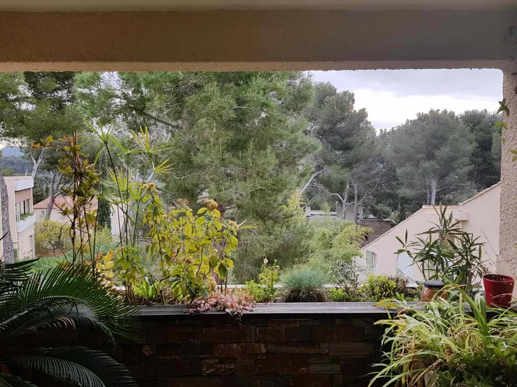 Cassis vente viager occupé