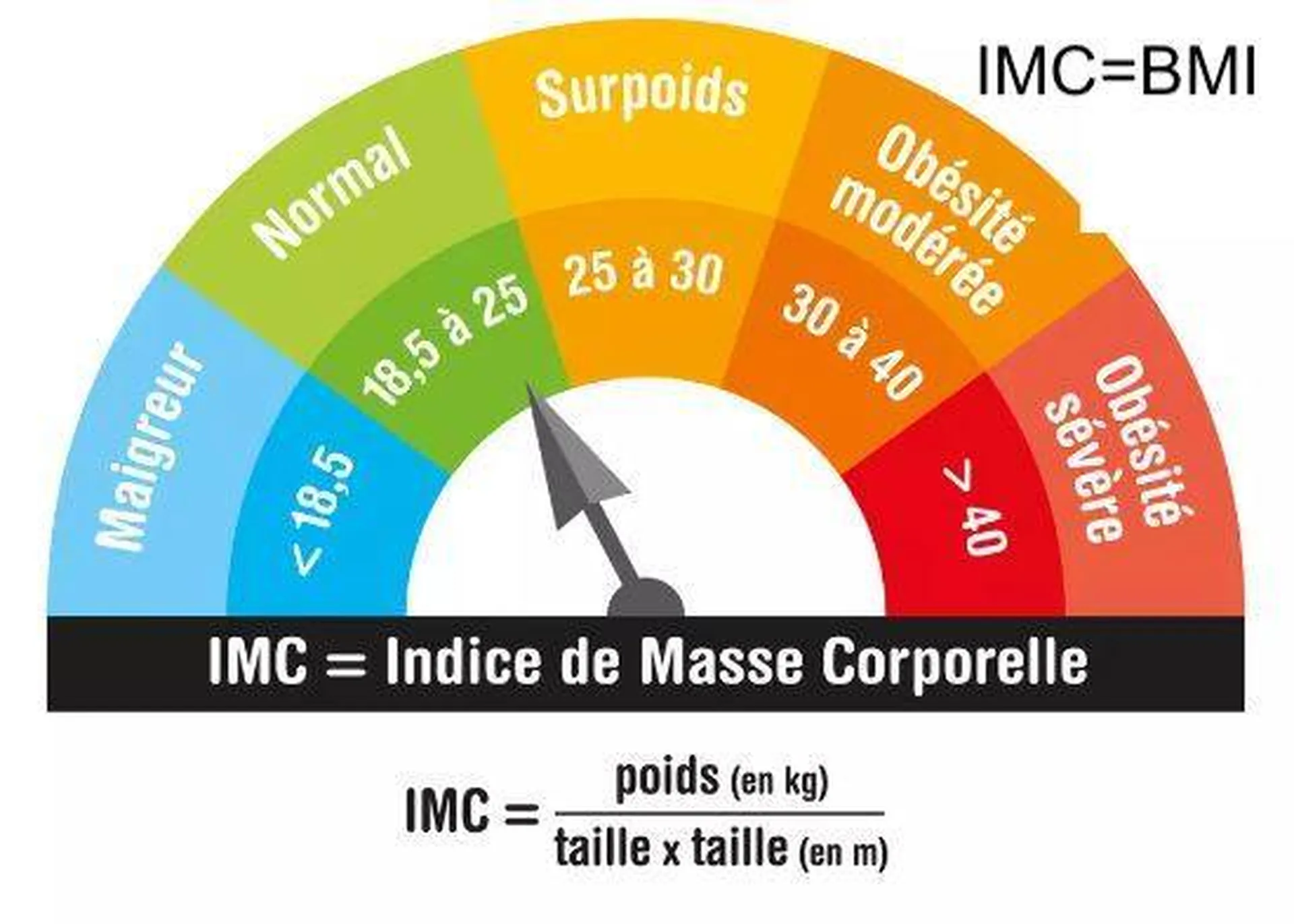 IMC BMI