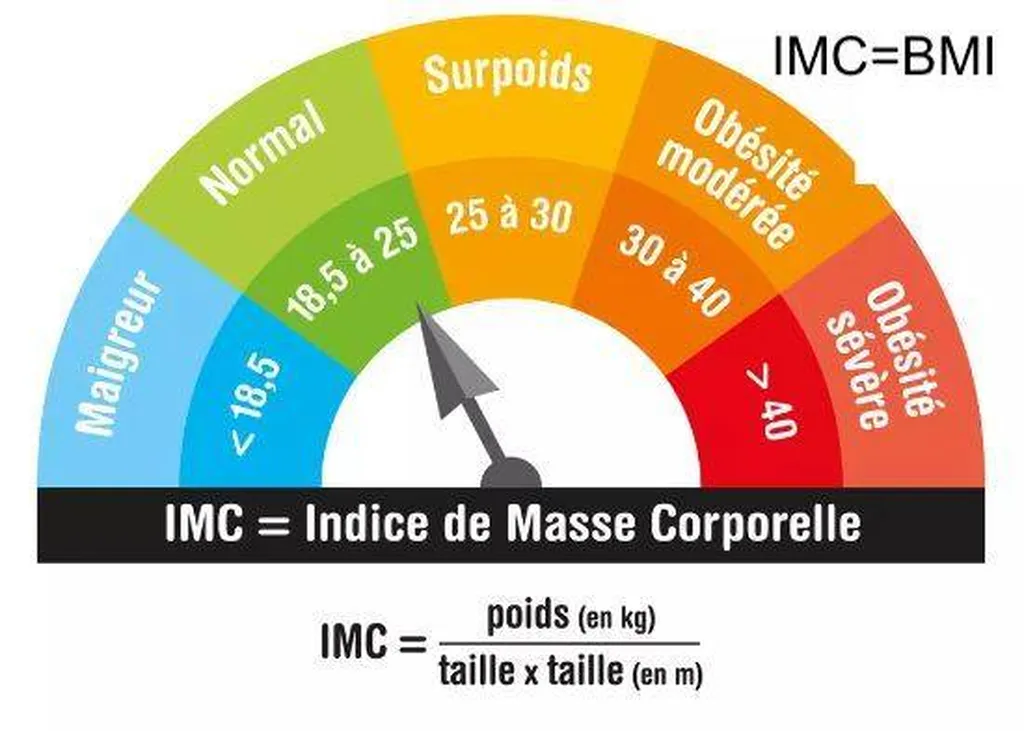 IMC BMI