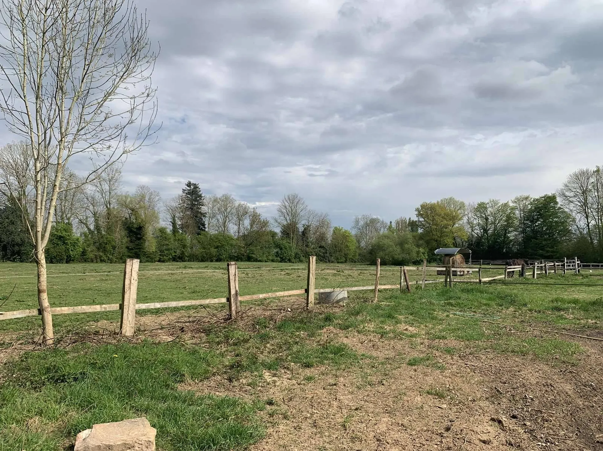 A vendre - Dans la région de BERNAY (27300) : une propriété équestre avec 3 HA 80 A de terrain