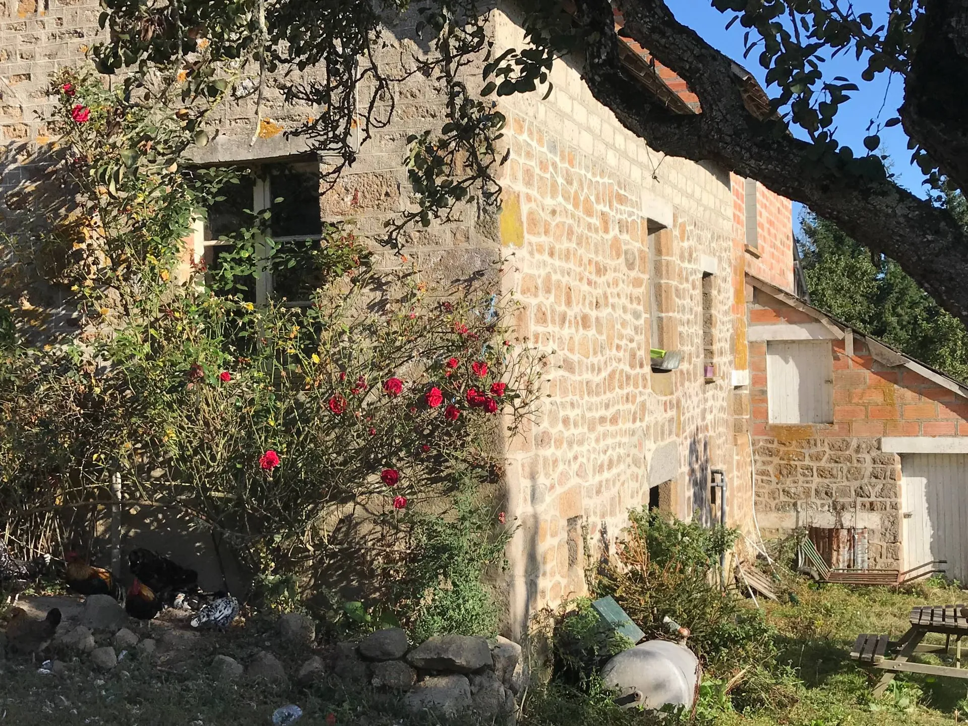 Ferme traditionnelle, 25 hectares, ORNE 61