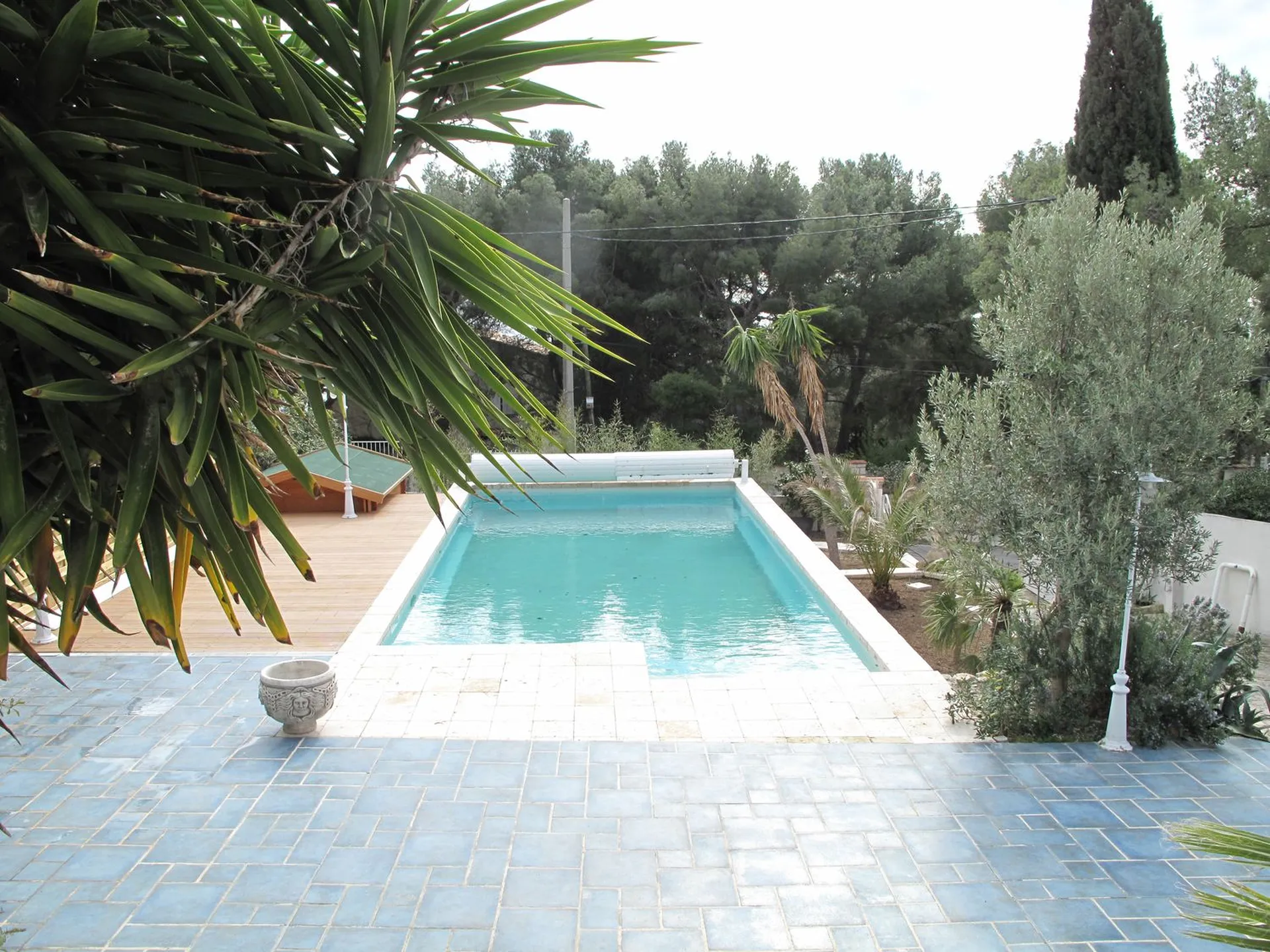 Piscine et terrasse