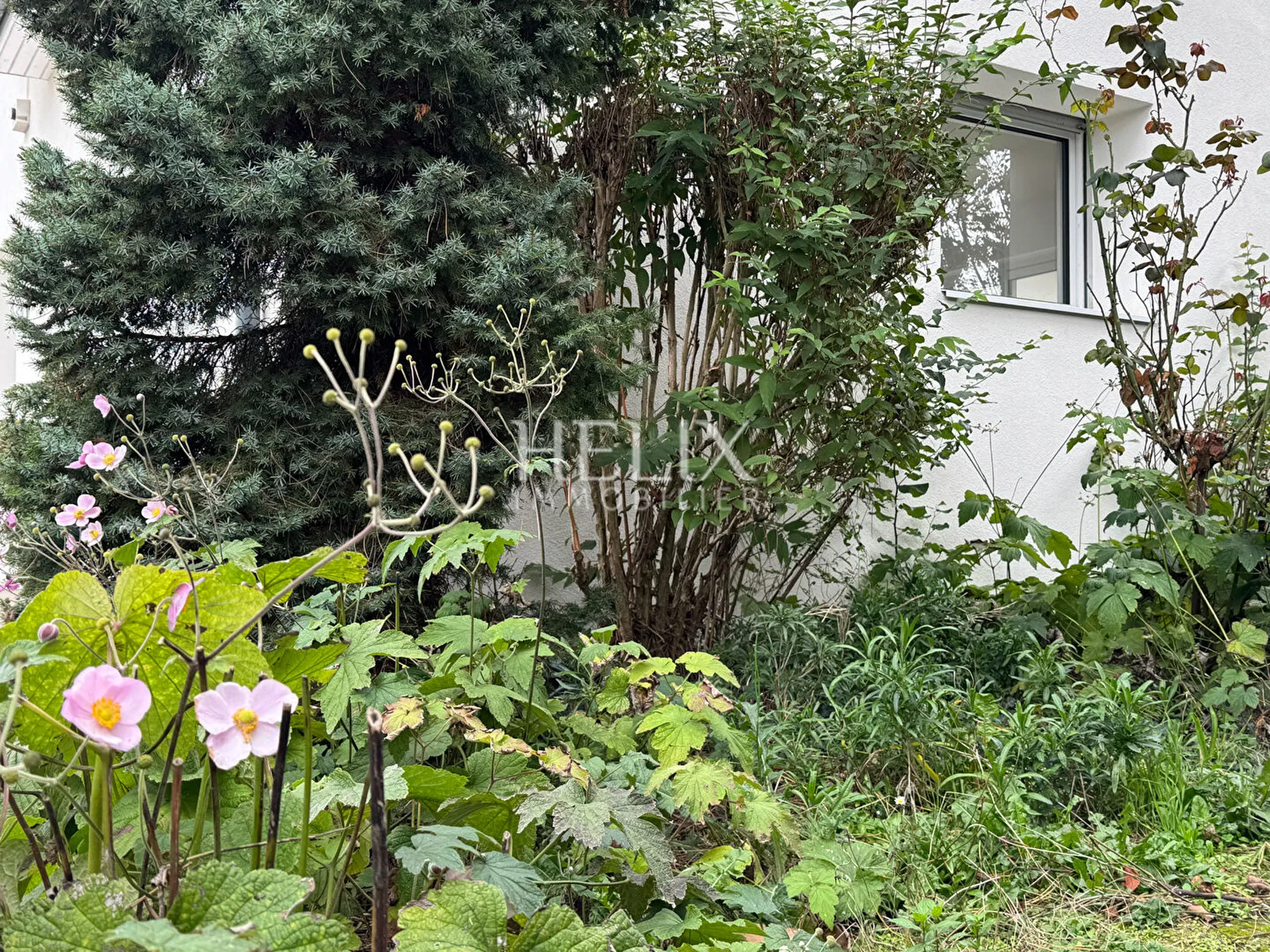 En exclusivité à vendre Orgeval une jolie maison de 210 M²  édifiée sur terrain de 834 M², 5 minutes à pied du centre ville, commerces , proche école Jeanne d'Arc.