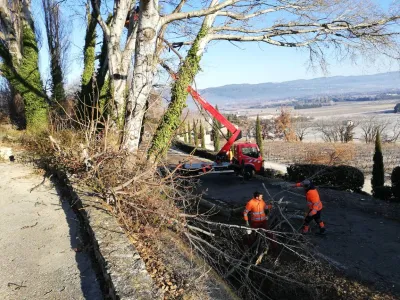 Abattage de peupliers à Gordes (84), pour enlever des arbres dangereux en bord de route