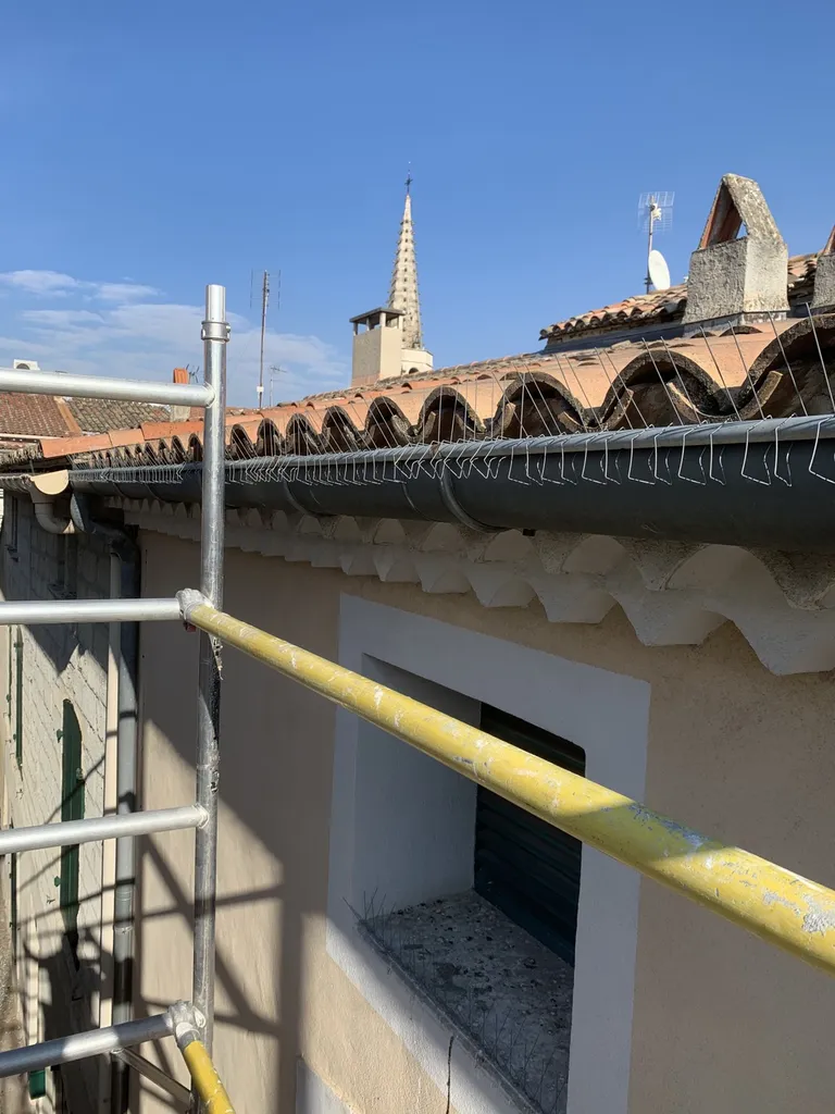 Mise en place de pic gouttière sur une agence du Crédit Agricoles à Graveson (13)