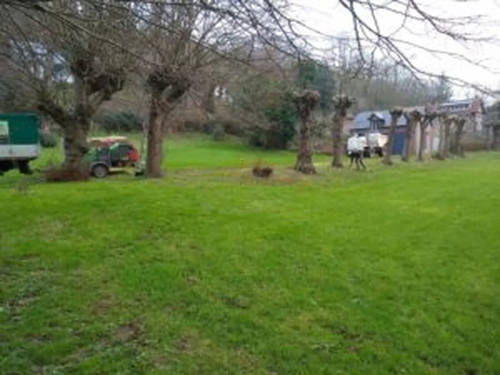 Taille de 40 tilleuls en tête de chat à Vaucotte (76111)