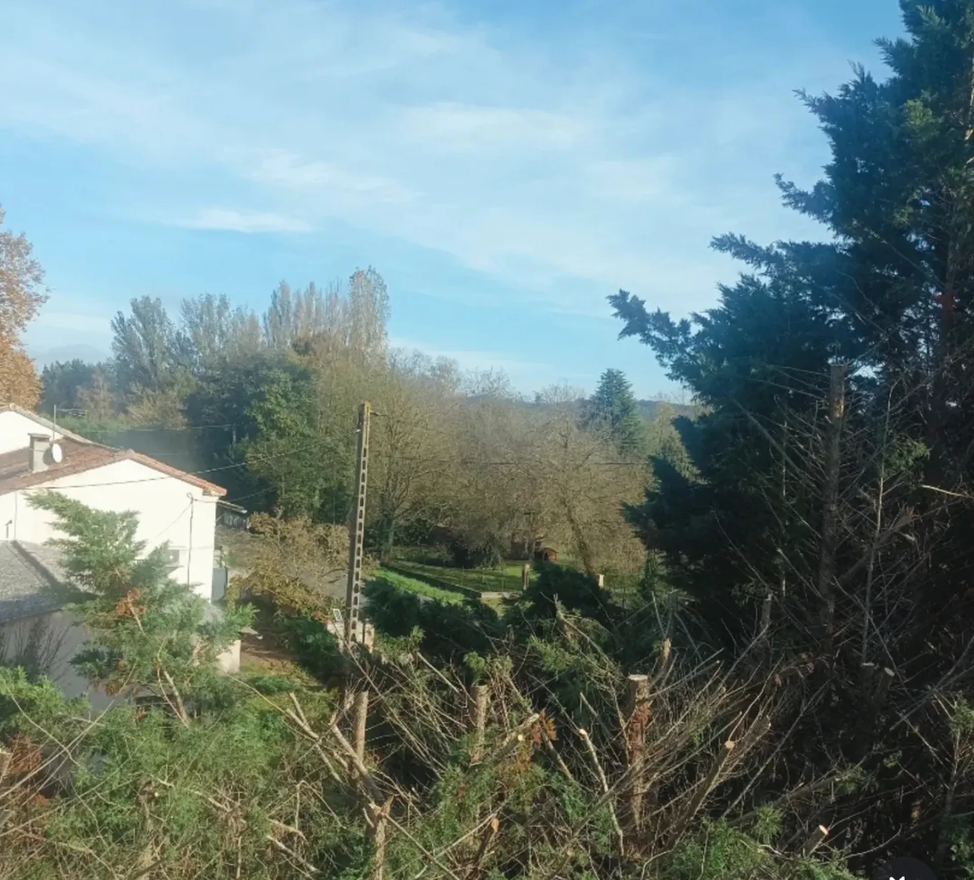 Grosse taille de thuyas à St julien sur Garonne près de Carbone.