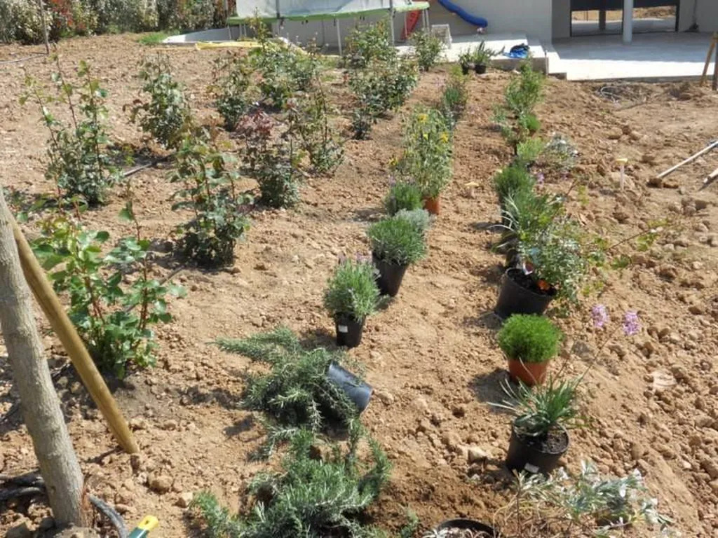 Création d'un massif par l'entreprise Les Jardins de Romain de Fuveau.