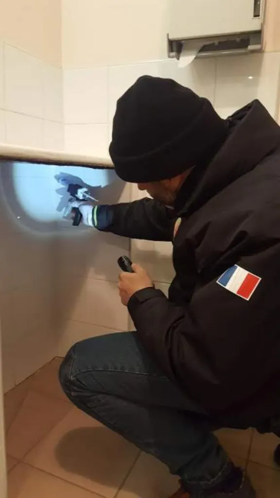 désinfection contre les cafards à Rognac 13340