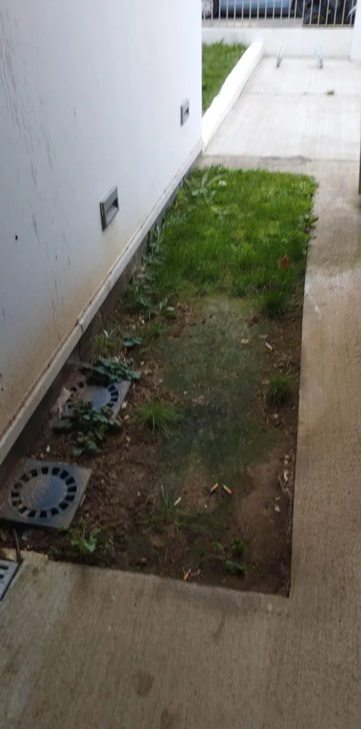 Traitement de dératisation dans un immeuble en  copropriété à Aix en Provence