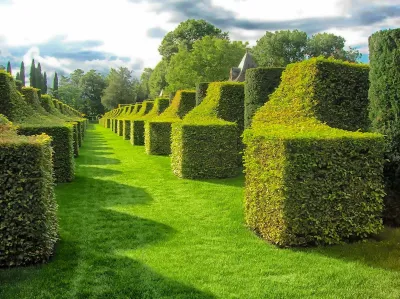 Taille ornementale d'arbre de château dans le Sud de la France
