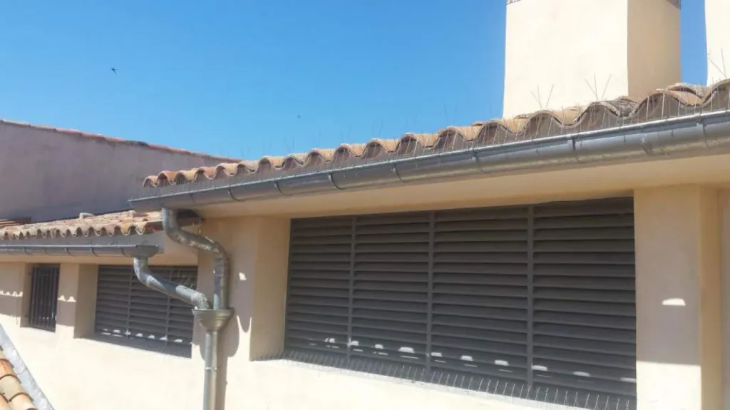 anti pigeon gouttière aix en provence 13100