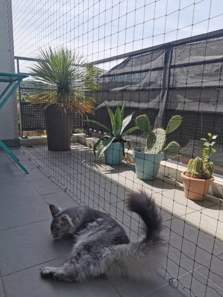 filet balcon chute chat marignane 13700 