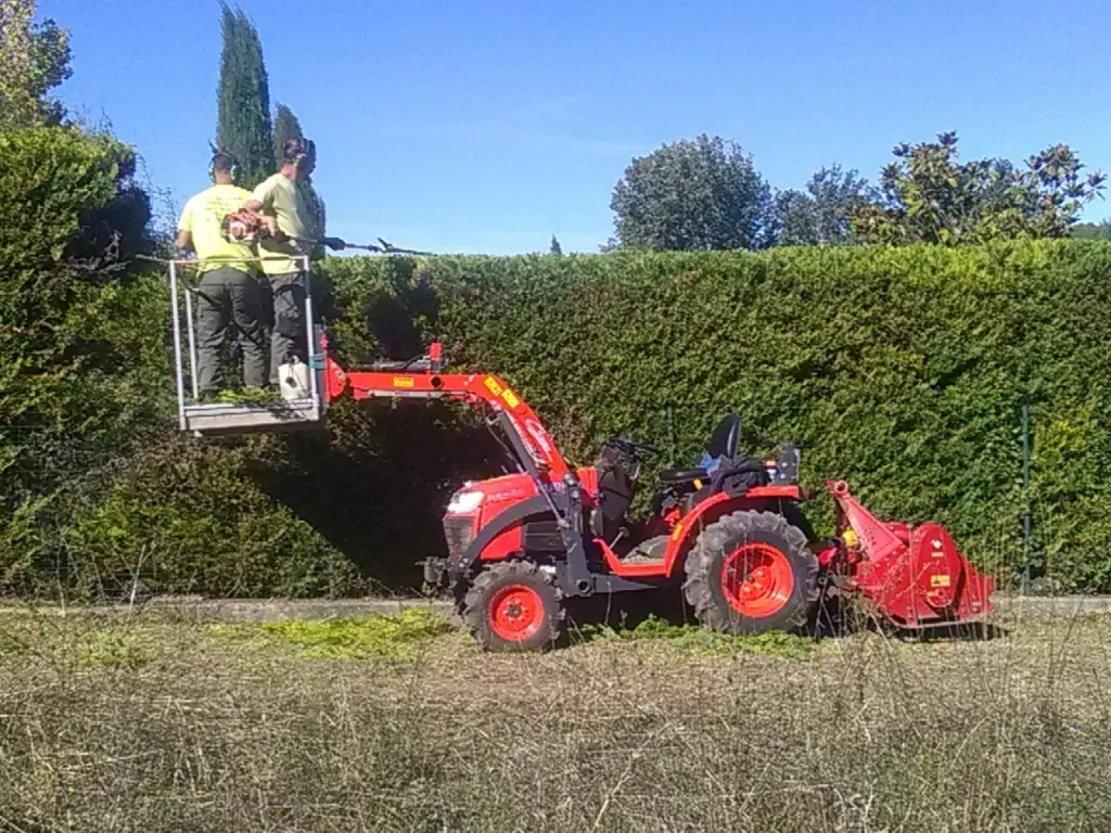 taille de haie mairie de coudoux
