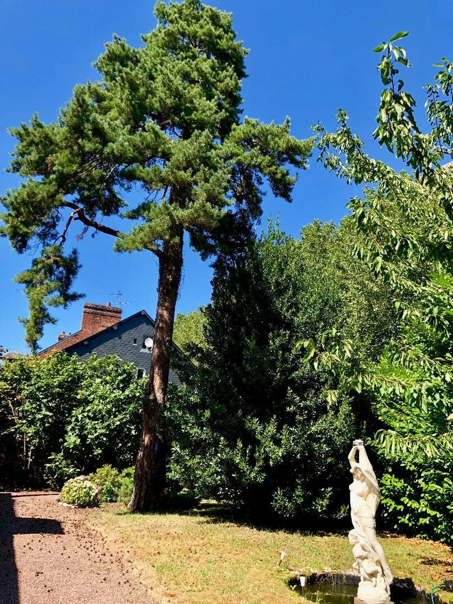 A visiter agréable jardin de 1430 m² clos et arboré avec sa maison de charme au coeur de Lisieux 14100