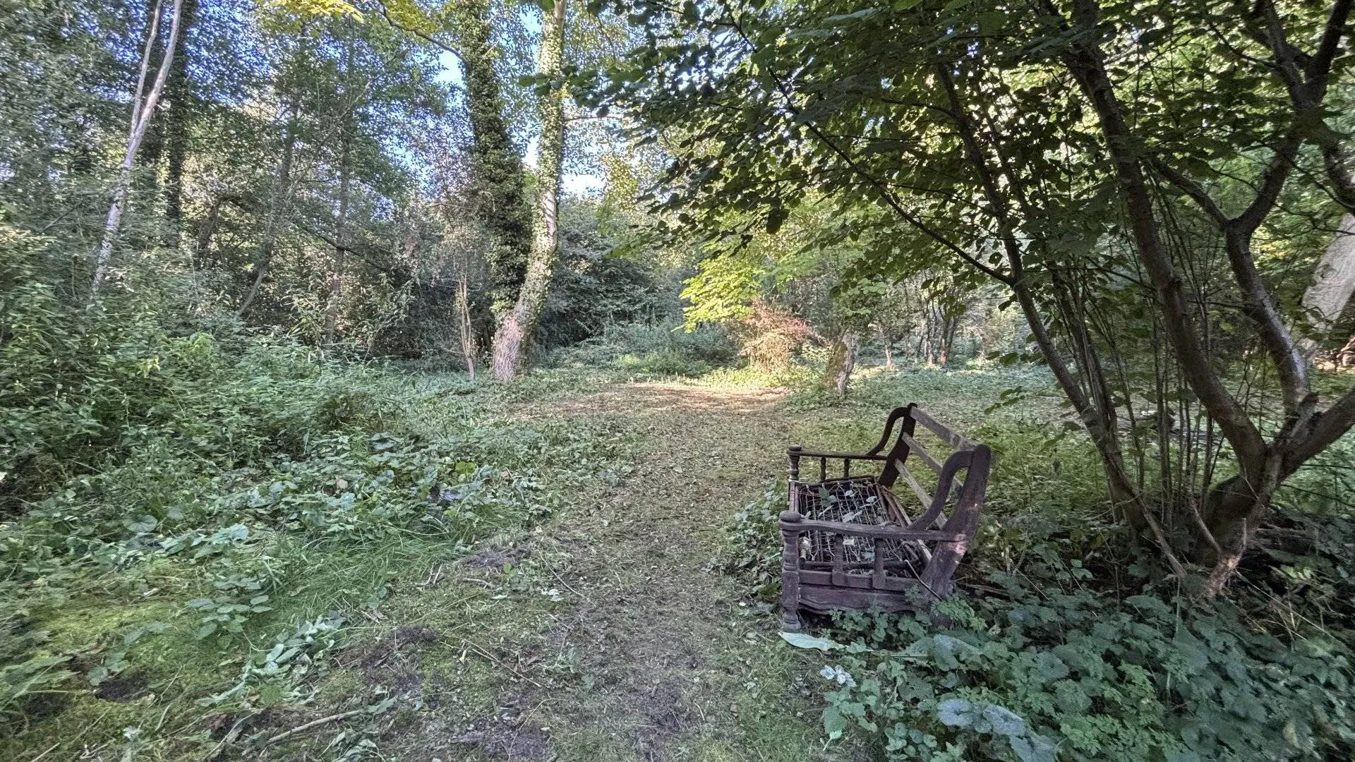 Vente terrain boisé au calme