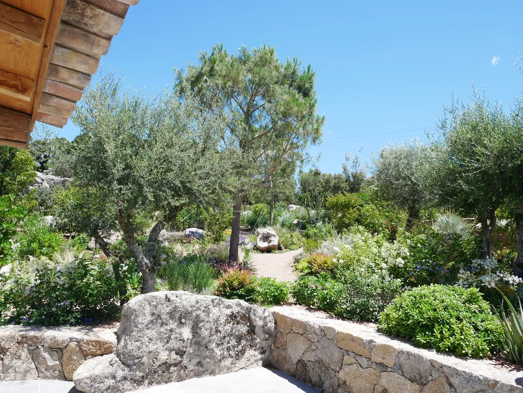 Aménagement paysager complet avec plantations méditerranéennes, pavage granit et éclairage de jardin sur mesure en Corse