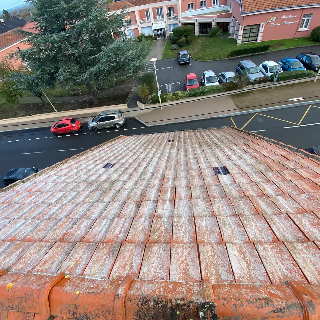 Démoussage de toiture grâce à un traitement curatif et préventif garanti 10 ans près de Nantes