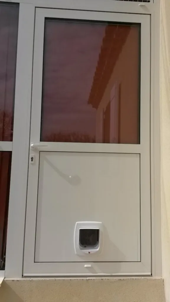 Porte d'entrée sur vérandas blancs laqué avec chatiere