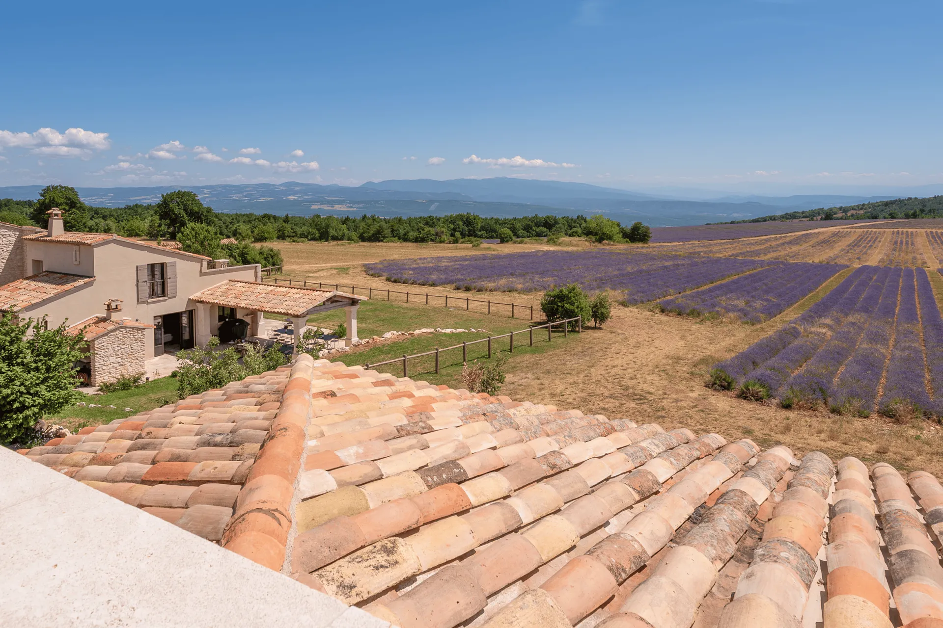 A panoramic view from the wellness building of the Domaine Château du Bois, overlooking the lavender fields and the Pre-Alps