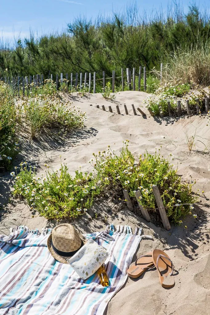 Camping familial proche de Marseillan bord de mer