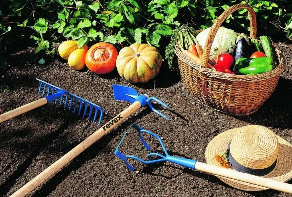 acheter outil à main revex