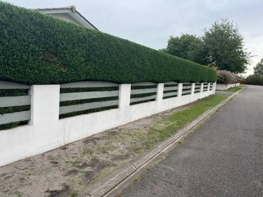 Faire tailler une haie de cyprès pour une propriété située près d’Ychoux