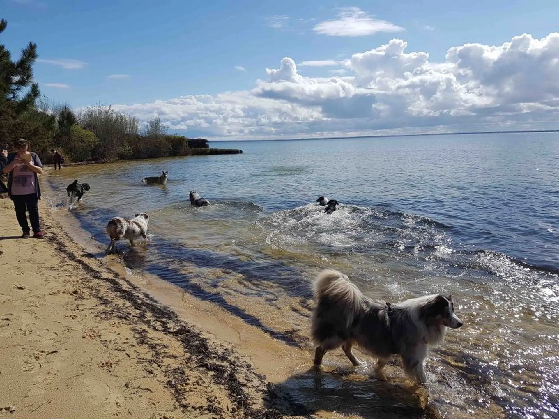 Balade educative bassin d'arcachon