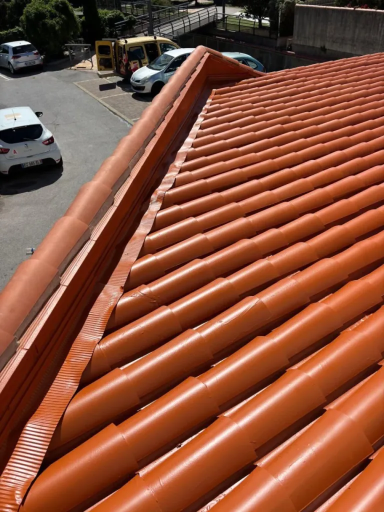 Après la fin de rénovation et l'application de résine coloré sur un toit à Angresse, dans les Landes (40)