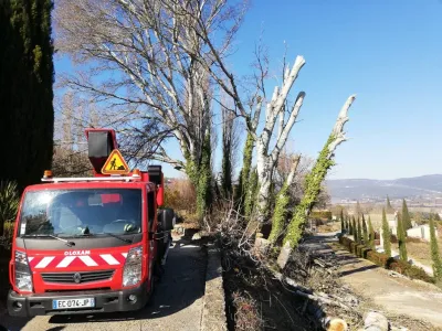 Abattage de peupliers à Gordes (84), pour enlever des arbres dangereux en bord de route
