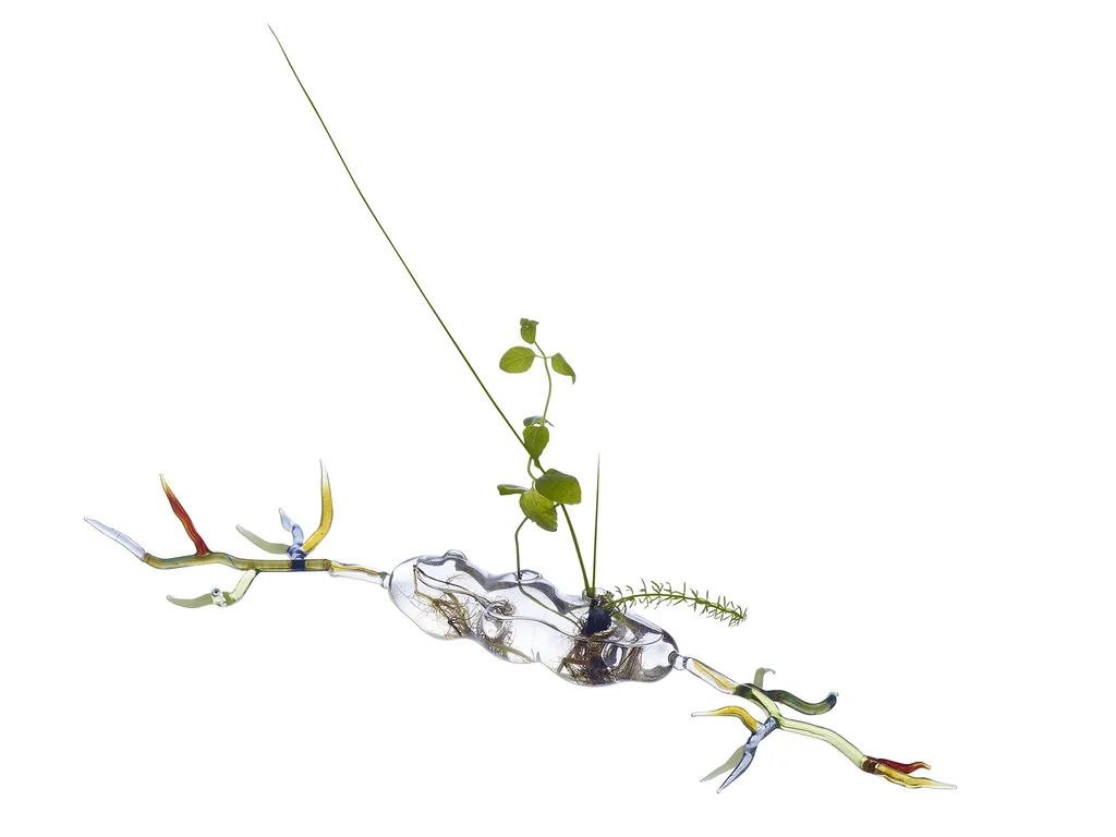  photographe d'oeuvre d'art à Lyon sculpture en verre soufflé