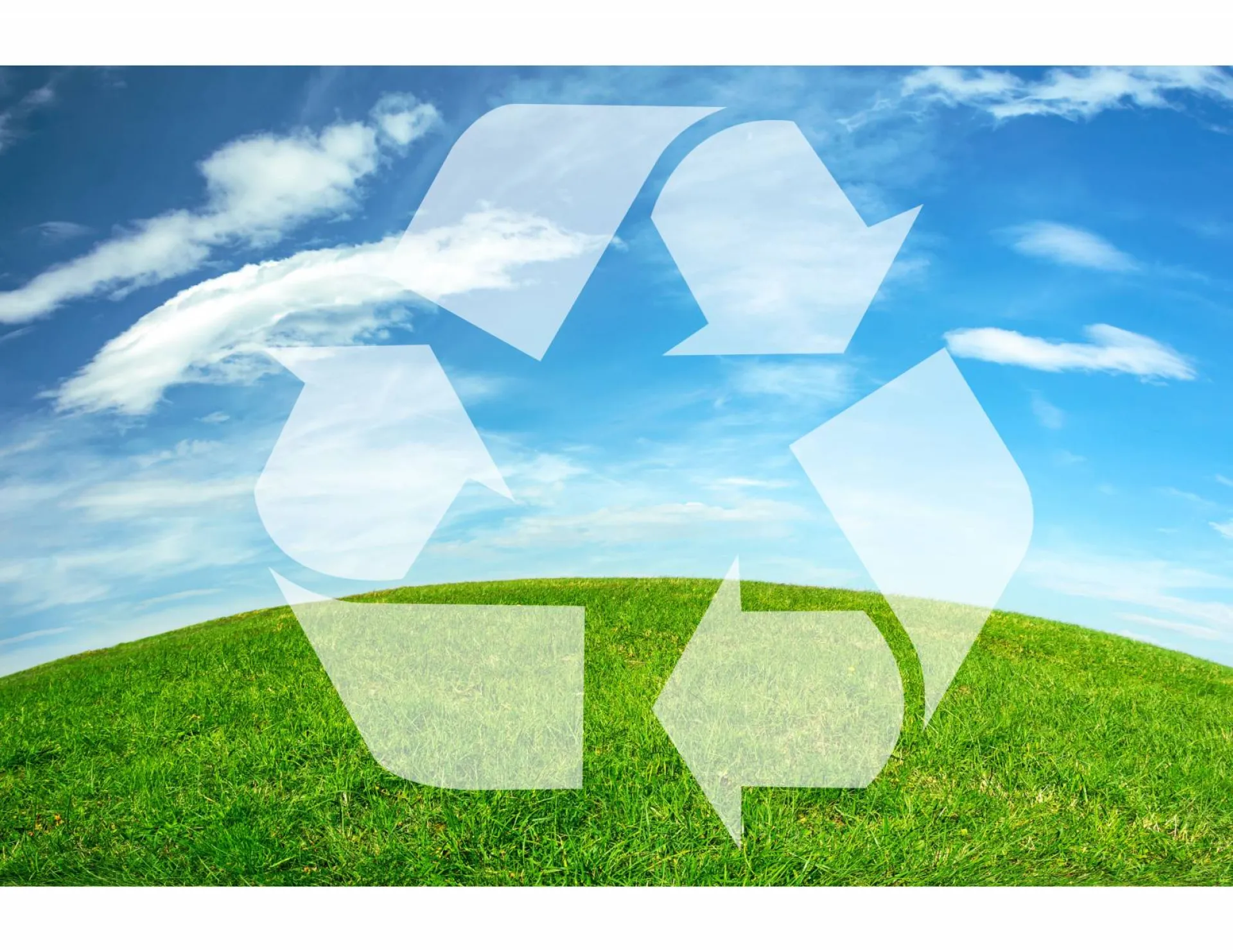 Démarche RSE de notre entreprise de paysagiste éco-responsable à Avignon